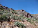 photo thumbnail #11