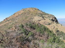 photo thumbnail #1