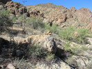 photo thumbnail #2