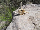 photo thumbnail #5