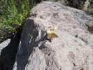 photo thumbnail #6