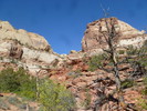 photo thumbnail #3