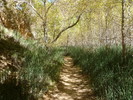 photo thumbnail #15