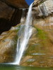 Featured Detail Photo