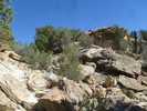 photo thumbnail #4