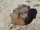 photo thumbnail #9