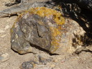 photo thumbnail #14