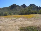 2013-10-05 :2: Saddle Mountain Trail #91 :: mazatzal