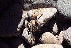 photo thumbnail #5