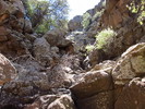 photo thumbnail #11