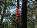 photo thumbnail #14