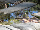 photo thumbnail #15