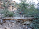 photo thumbnail #3