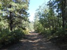 photo thumbnail #8