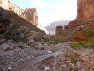 photo thumbnail #12