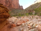 photo thumbnail #13