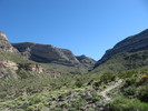 photo thumbnail #14