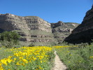 photo thumbnail #15
