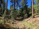 photo thumbnail #3