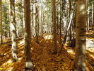 photo thumbnail #9
