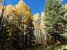 photo thumbnail #12