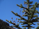 photo thumbnail #7