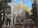 photo thumbnail #9