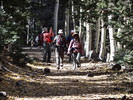 photo thumbnail #10