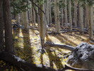 photo thumbnail #11