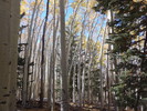 photo thumbnail #12