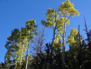 photo thumbnail #14