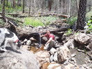 photo thumbnail #8