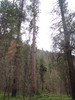 photo thumbnail #10