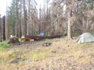 photo thumbnail #13