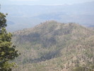 photo thumbnail #15