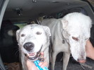 photo thumbnail #1
