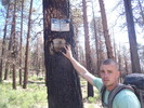 photo thumbnail #4