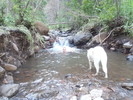 photo thumbnail #9