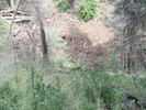 photo thumbnail #15