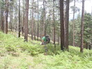 photo thumbnail #5