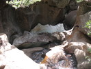 recent photo