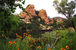 photo thumbnail #5