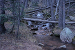 photo thumbnail #1