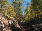 photo thumbnail #11