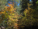 photo thumbnail #15
