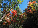 photo thumbnail #9