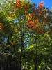 photo thumbnail #14