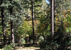 photo thumbnail #15