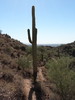 photo thumbnail #4