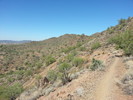 photo thumbnail #5